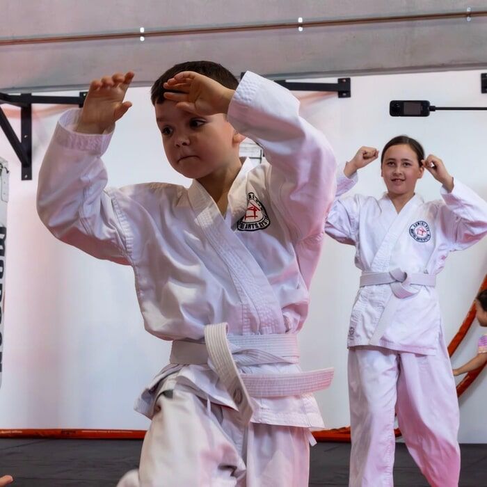 The Perfect First Martial Arts Program for Young Children